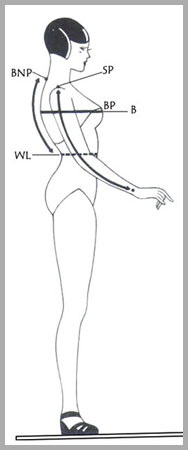 Measurement guide from the side view